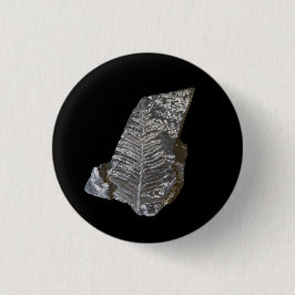 Fotografi över ferniserade Löv Sten Knapp