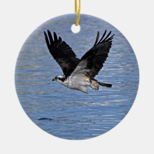 Fotografi över fiskört (Osprey Nature) Julgransprydnad Keramik