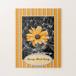 Fotografi över Flash African Daisy i Färg Stänk Vå Pussel