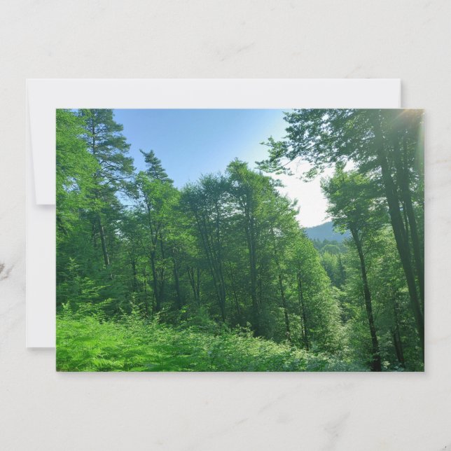 Fotografi över gröntens skogar inbjudningar (Framsida)