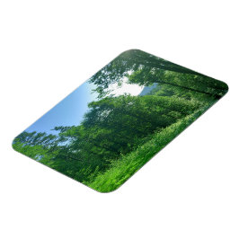 Fotografi över gröntens skogar magnet