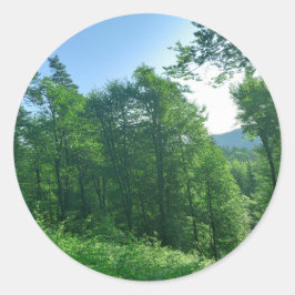 Fotografi över gröntens skogar runt klistermärke