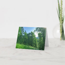 Fotografi över gröntens skogar tack kort
