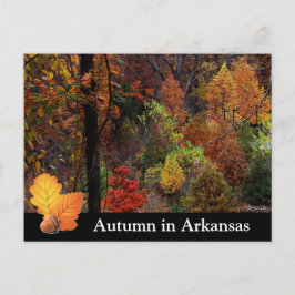 Fotografi över hösten i Arkansas/Träd under hösten Vykort