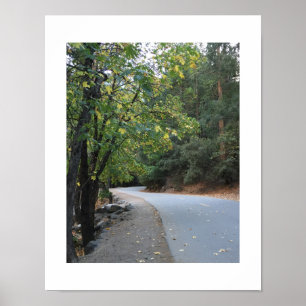 Fotografi över hösten Road Yosemite Färg Poster