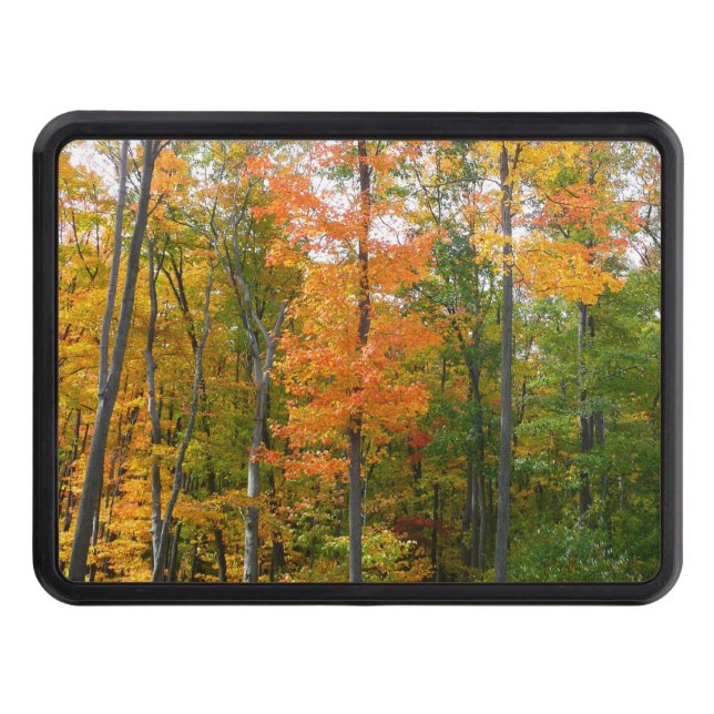 Fotografi över höstnaturen i Träd för fallmask Dragkroksskydd (Framsidan)