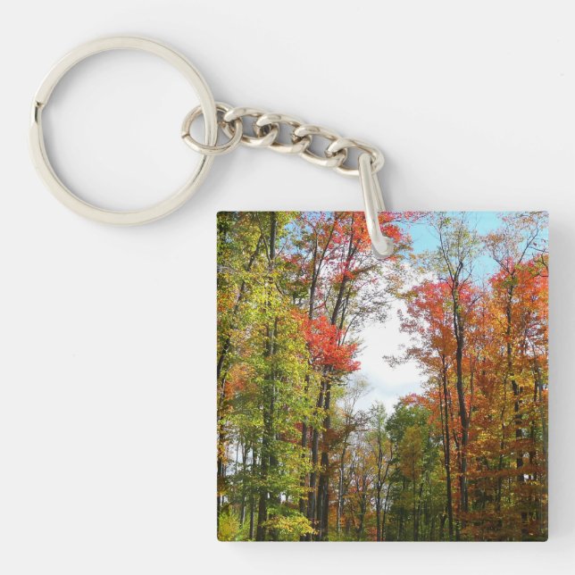 Fotografi över höstnaturen Träd och Blå himmel (Framsidan)