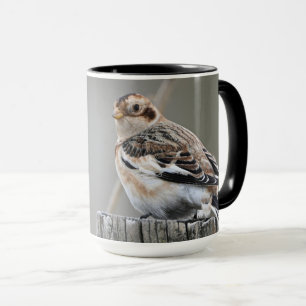 Fotografi över kute Attractive Snö Bunting Georgia Mugg