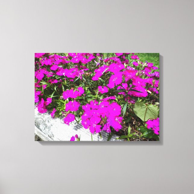 Fotografi över Lila blommor Canvastryck (Framsida)
