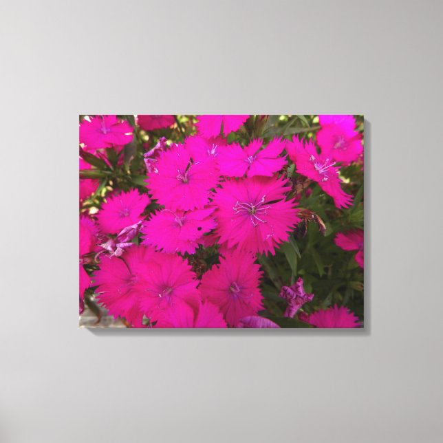 Fotografi över ljusa Rosa Flowers Canvastryck (Framsida)