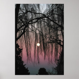 Fotografi över måne genom Träd Poster