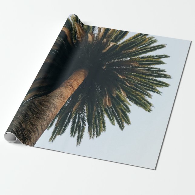 Fotografi över mask öga vid handflatan träd presentpapper (Utrullad)