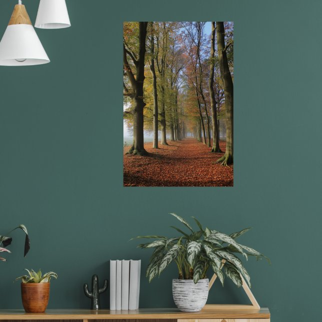 Fotografi över naturområdet hösten träd poster (Vardagsrum 1)