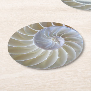 Fotografi över Nautilus Sea Snäcka Underlägg Papper Rund