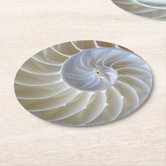 Fotografi över Nautilus Sea Snäcka Underlägg Papper Rund (Vinklad)