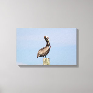 Fotografi över persisk pelikan Fishing Canvas