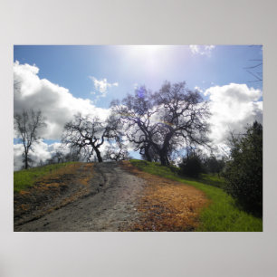 Fotografi över regnbåge Träd Scenia Hiking Nature Poster