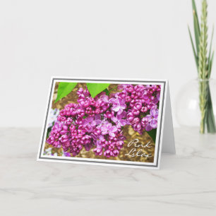 Fotografi över Rosa Lilac Flower Cluster Kort