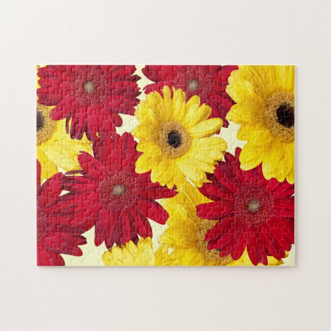 Fotografi över rött och Gult Gerber Daisy Pussel (Horisontell)