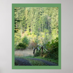 Fotografi över Träd Land i floden Oregon Forest Poster