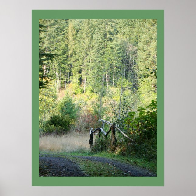 Fotografi över Träd Land i floden Oregon Forest Poster (Framsidan)