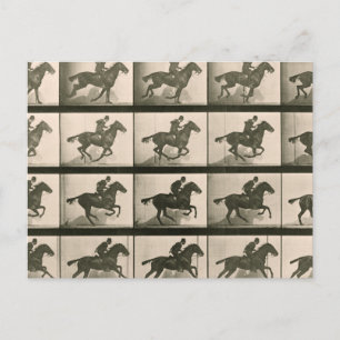Fotografi över Vintagen Horse Rörelse Vykort