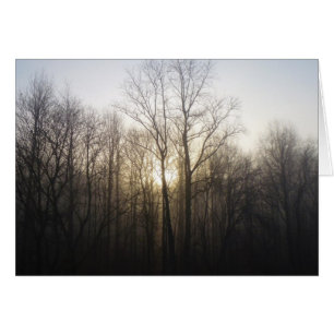 Fotografi över vinter Fog Sunrise Nature Hälsningskort