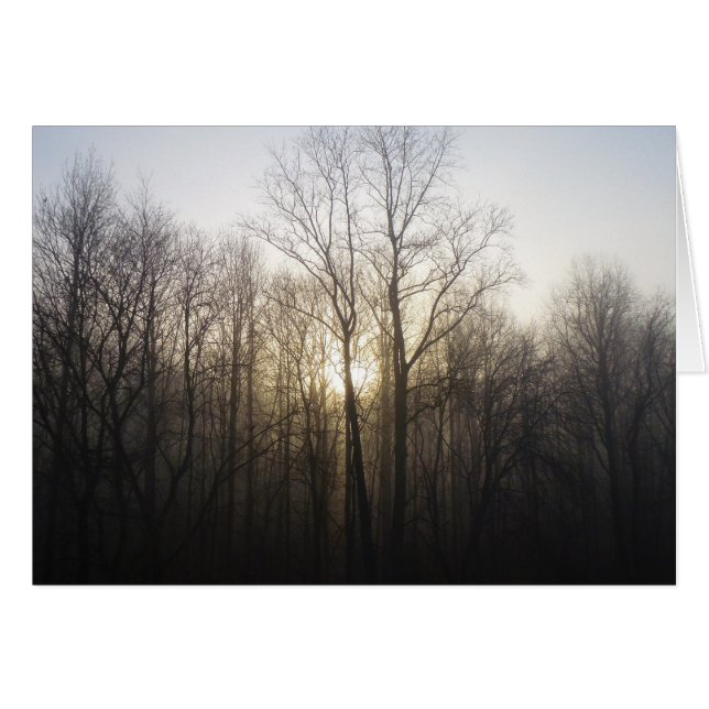 Fotografi över vinter Fog Sunrise Nature Hälsningskort (Framsidan Horizontal)