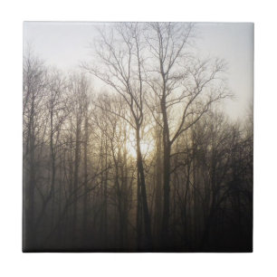 Fotografi över vinter Fog Sunrise Nature Kakelplatta