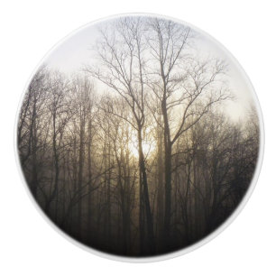 Fotografi över vinter Fog Sunrise Nature Knopp