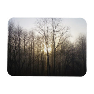Fotografi över vinter Fog Sunrise Nature Magnet