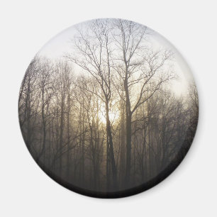 Fotografi över vinter Fog Sunrise Nature Magnet