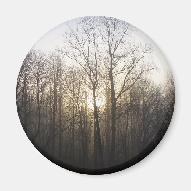 Fotografi över vinter Fog Sunrise Nature Magnet (Framsidan)