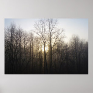 Fotografi över vinter Fog Sunrise Nature Poster