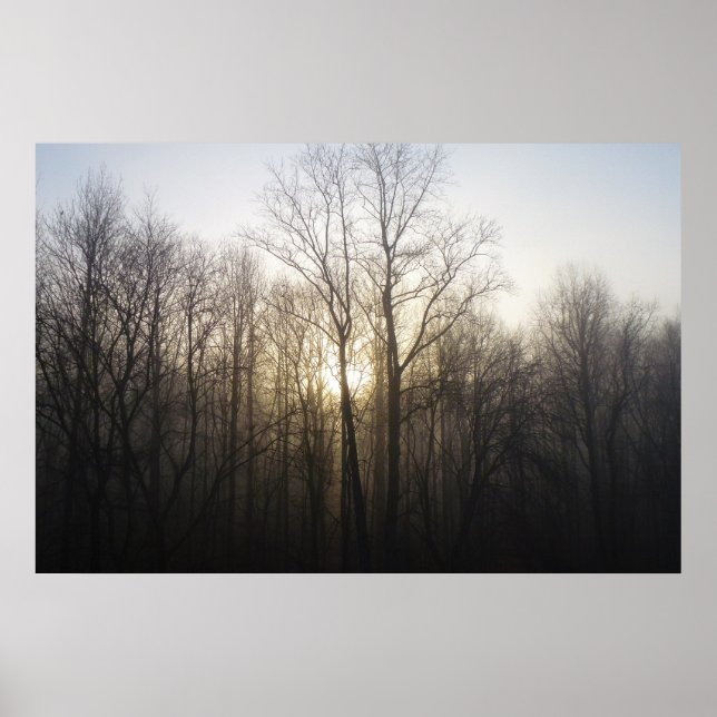 Fotografi över vinter Fog Sunrise Nature Poster (Framsidan)