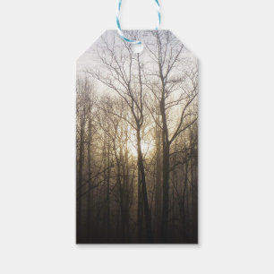 Fotografi över vinter Fog Sunrise Nature Presentetikett