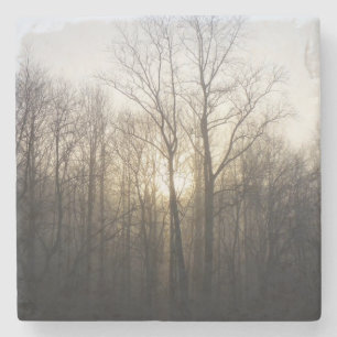 Fotografi över vinter Fog Sunrise Nature Stenunderlägg
