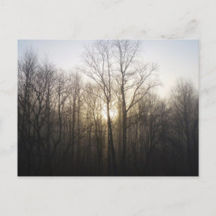 Fotografi över vinter Fog Sunrise Nature Vykort