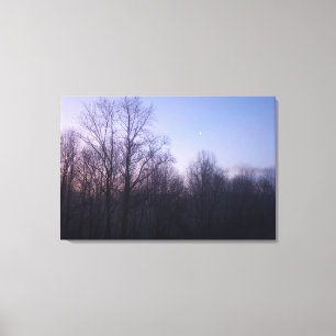 Fotografi över vintermorgonlandskapet Måne Canvastryck