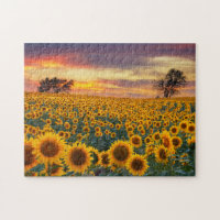 Fotografi Solrosor Fält Complex Jigszons Puzzles