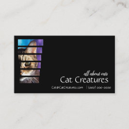 Fotografi Tabby katt Visitkort