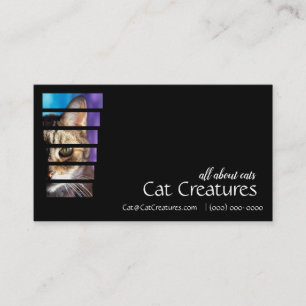 Fotografi Tabby katt Visitkort