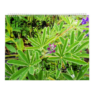 Fotografi vid den Chris 2011 kalendern Kalender