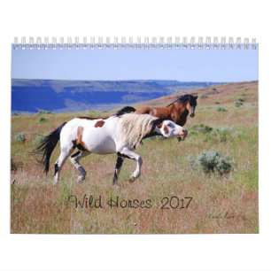 Fotografi vid kalendern 2017 för Carolyn vildhäs Kalender