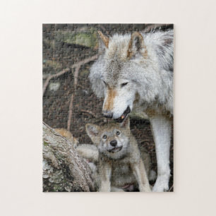 Fotografidjur för Varg mor och Baby djur Pussel