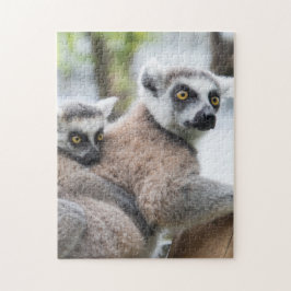 Fotografidjur i mor och Baby djur Lemur Pussel