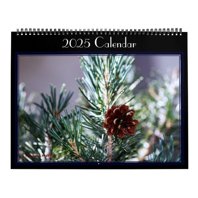 Fotografier av olika fåglar i en trädgård. Kalende Kalender (Omslag)