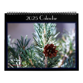 Fotografier av olika fåglar i en trädgård. Kalende Kalender