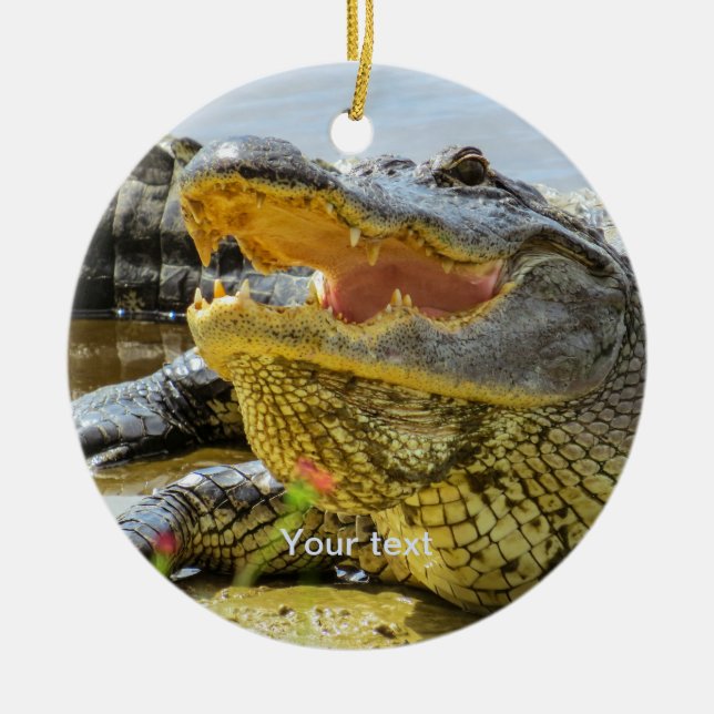 Fotografiet Personalize American alligator porträt Julgransprydnad Keramik (Framsidan)