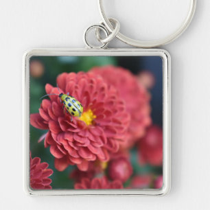 Fotografifilm med rött blommor, Beetle Insekt Kryp Fyrkantig Silverfärgad Nyckelring